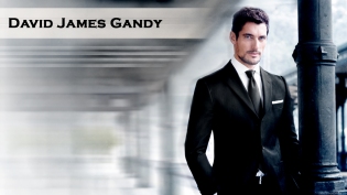 David James Gandy- 50 Shades